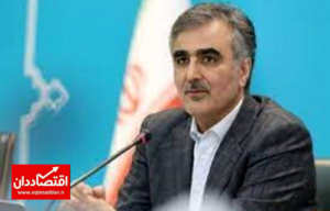 خبر مهم فرزین درباره منابع ارزی ایران در ترکیه