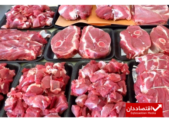 شناسایی علت کاهش عرضه دام داخلی