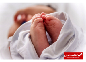 باز نشر مطالب موجب امتنان است