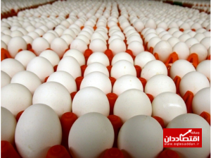 قیمت جدید تخم‌مرغ اعلام شد + جزئیات
