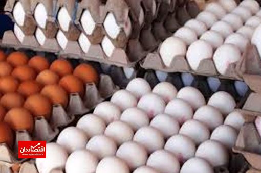 افزایش ۵ درصدی صادرات تخم مرغ