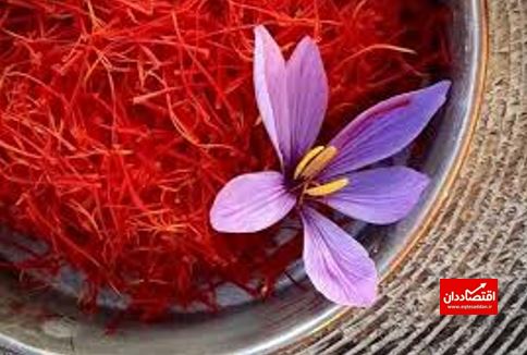 سالانه حدود ۷۰ تن زعفران در کشور مصرف می‌شود