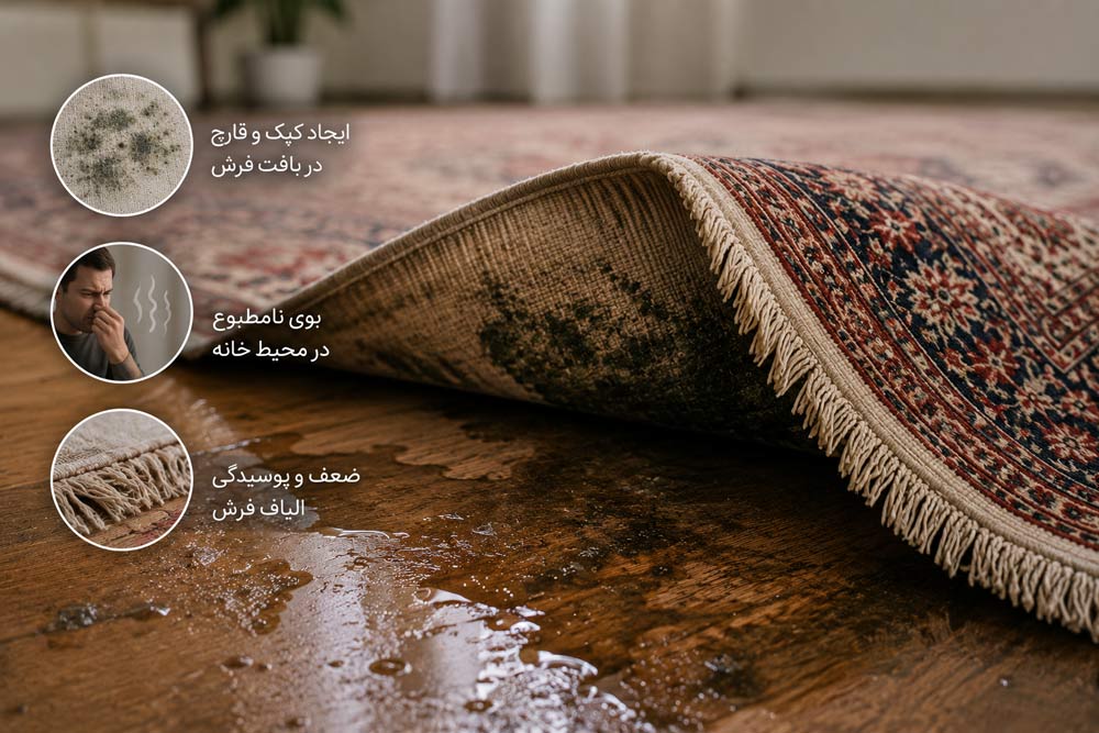 رطوبت و فرش؛ از ایجاد بوی نامطبوع تا آسیب به بافت