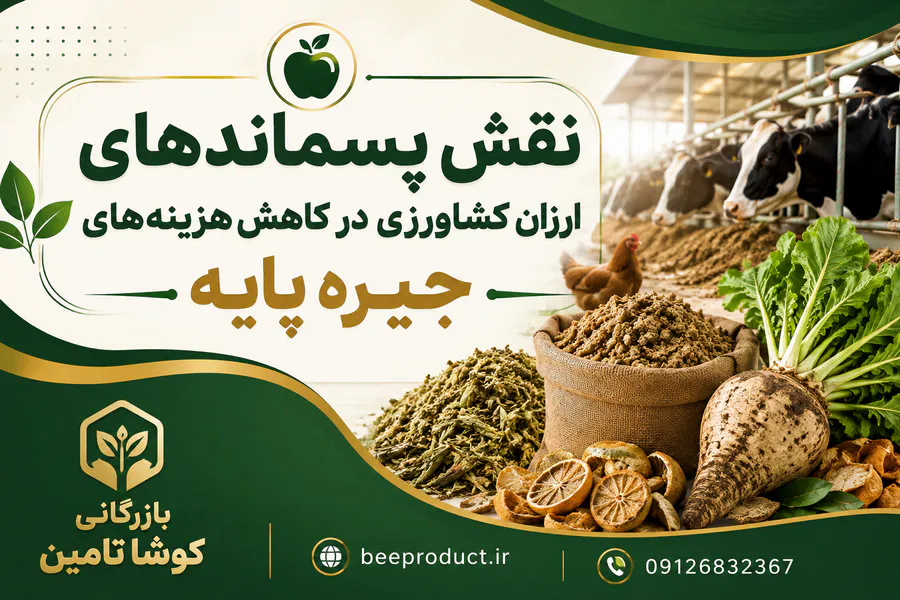 راهکارهای کاهش هزینه خوراک دام با خرید عمده تفاله سیب